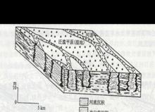 網狀河環境單元