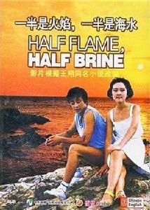 一半是火焰一半是海水[1989年夏剛執導電影作品]