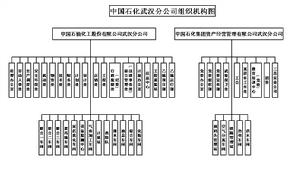 中國石化武漢分公司組織機構圖