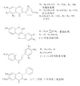 兒茶