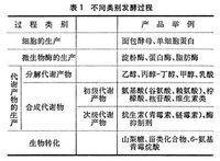 發酵過程