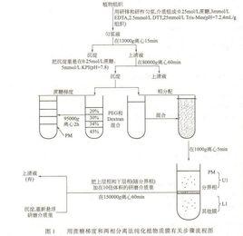 離心技術