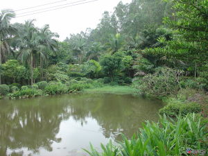 沙灣滴水岩森林公園