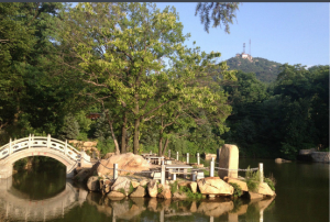 魯山國家森林公園