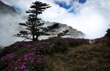 昭通藥山