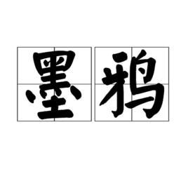 墨鴉[漢語詞語]