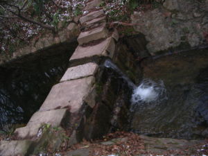 南京中山植物園