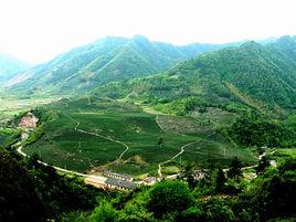 板橋村[湖北省黃岡市英山縣紅山鎮板橋村]