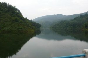 陡坡村