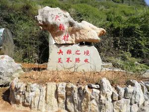 大雅村[湖北黃石市陽新縣富池鎮大雅村]