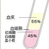 血液成分（加入抗凝劑）