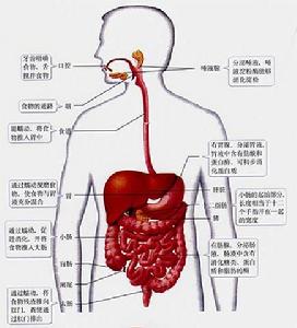 多發性腎小管功能障礙綜合徵