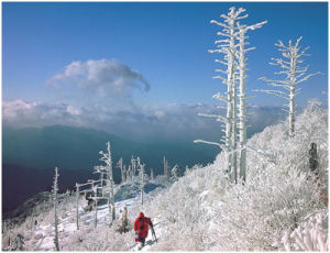 智異山