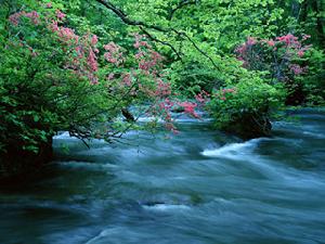 神龍川風景旅遊度假區