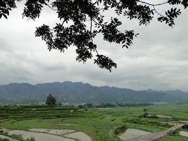 王嶺村[貴州榕江縣下轄村]