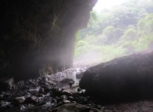 落水洞竹林村