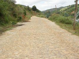 茅草坪村[雲南省文山州麻栗坡縣麻栗鎮下轄村]