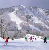 岩手縣滑雪