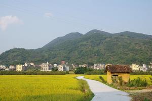 廣業書院可遠望夾漈山