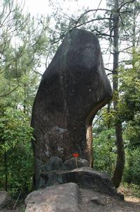 蓋竹村[福建省三明市沙縣富口鎮下轄村]