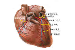 先天性冠狀動脈瘺