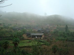 茶樹箐村