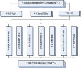 組織結構戰略