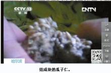 暗訪哈爾濱華義冰淇淋廠