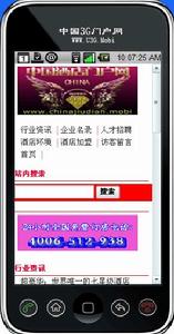 中國3G酒店入口網站