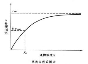 酶動力學