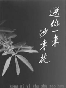 送你一束沙棗花[鞏新亮主演電視劇]