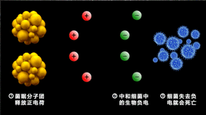 物理抗菌