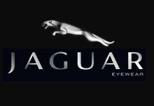 視康代理--JAGUARLOGO