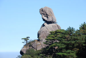 司春女神