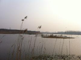 付莊村[鄭州市新鄭市和莊鎮下轄村]