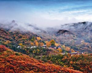 花果山之秋