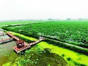 宿遷市洋河新區