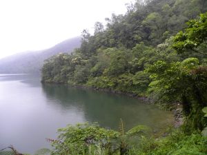 鯉魚池