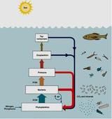 污水生物學