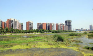 荊襄外河濕地公園