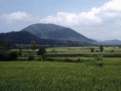 龍崗火山