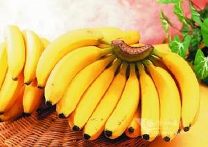 潮州溪口香蕉