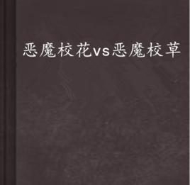 惡魔校花vs惡魔校草