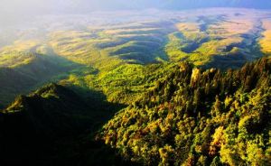 黑茶山群