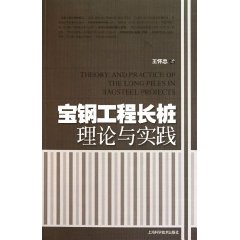 寶鋼工程長樁理論與實踐