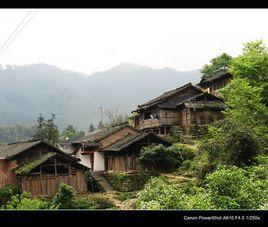 梅子樹村[竹子竹子]