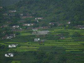 大竹村[雲南省昭通巧家縣白鶴灘鎮大竹村]