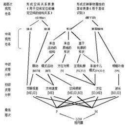 視知覺