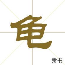 龜[中國漢語漢字]