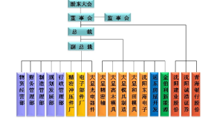 大連大顯控股股份有限公司組織結構